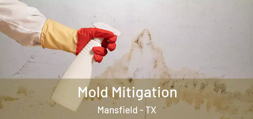 Mold Mitigation Mansfield - TX