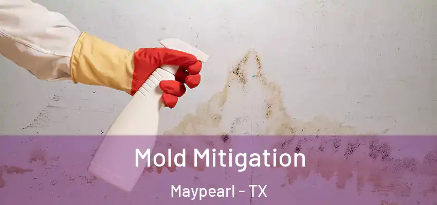  Mold Mitigation Maypearl - TX