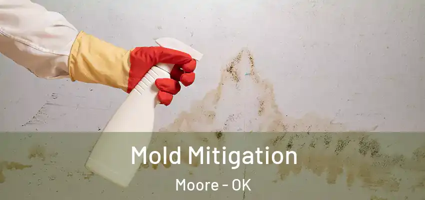 Mold Mitigation Moore - OK