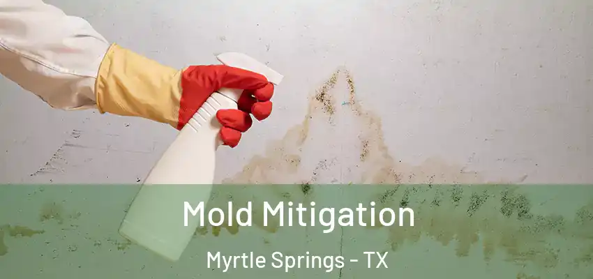 Mold Mitigation Myrtle Springs - TX