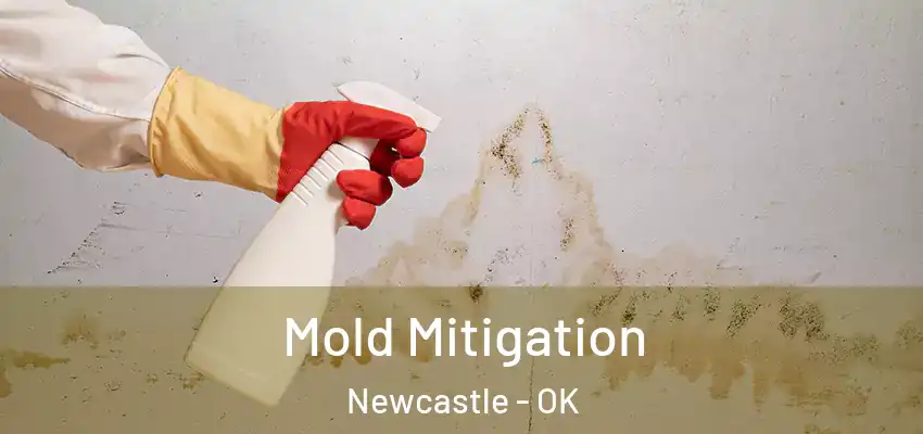  Mold Mitigation Newcastle - OK