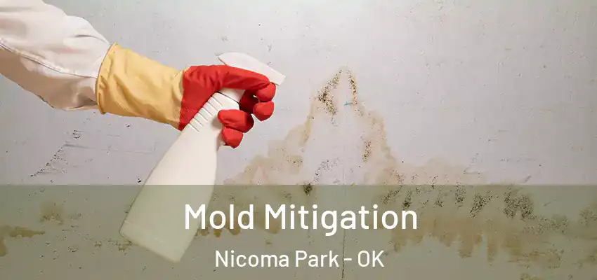  Mold Mitigation Nicoma Park - OK