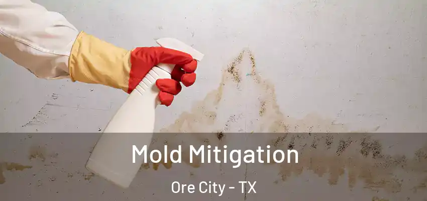  Mold Mitigation Ore City - TX