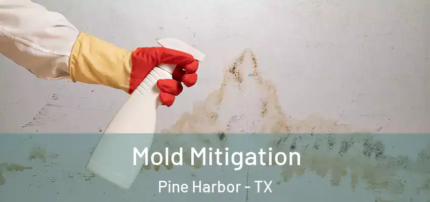 Mold Mitigation Pine Harbor - TX