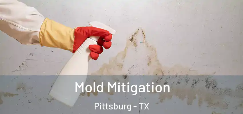 Mold Mitigation Pittsburg - TX