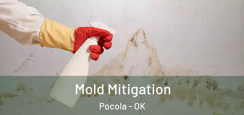Mold Mitigation Pocola - OK