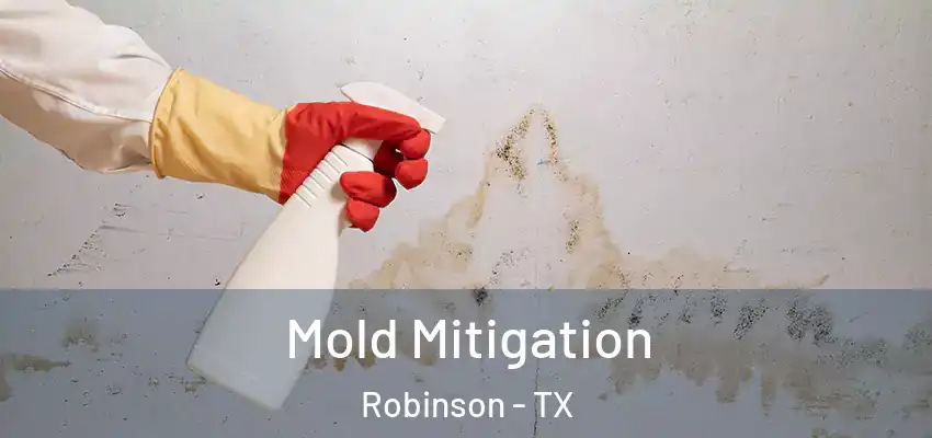 Mold Mitigation Robinson - TX