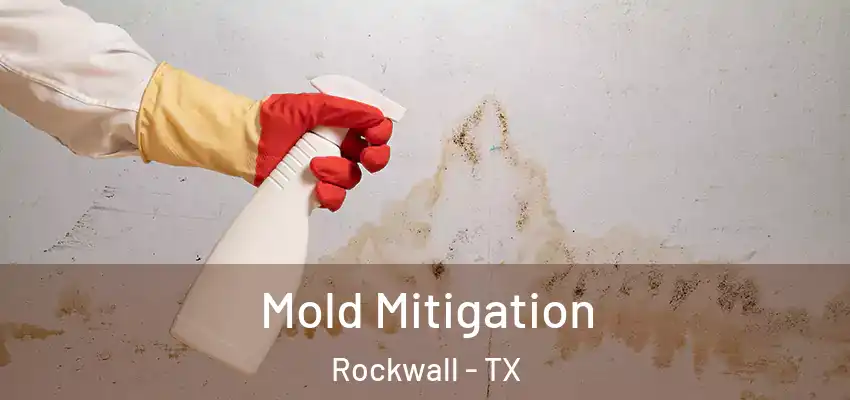 Mold Mitigation Rockwall - TX