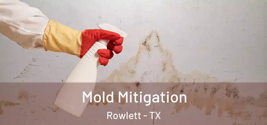 Mold Mitigation Rowlett - TX