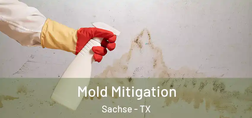 Mold Mitigation Sachse - TX