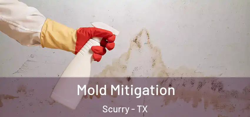Mold Mitigation Scurry - TX