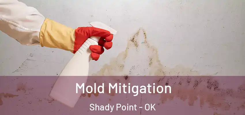  Mold Mitigation Shady Point - OK