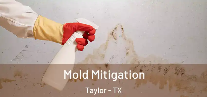 Mold Mitigation Taylor - TX