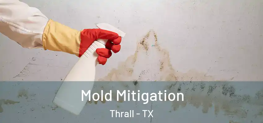 Mold Mitigation Thrall - TX
