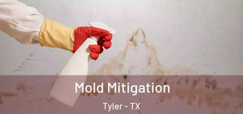 Mold Mitigation Tyler - TX