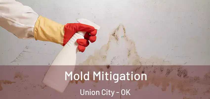 Mold Mitigation Union City - OK