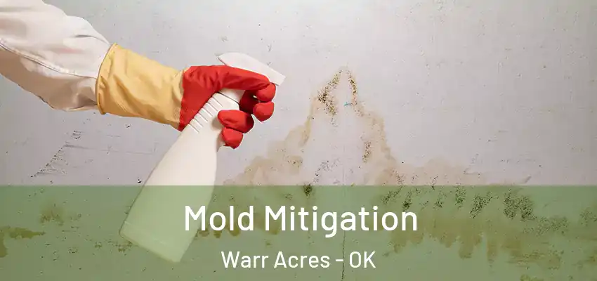 Mold Mitigation Warr Acres - OK