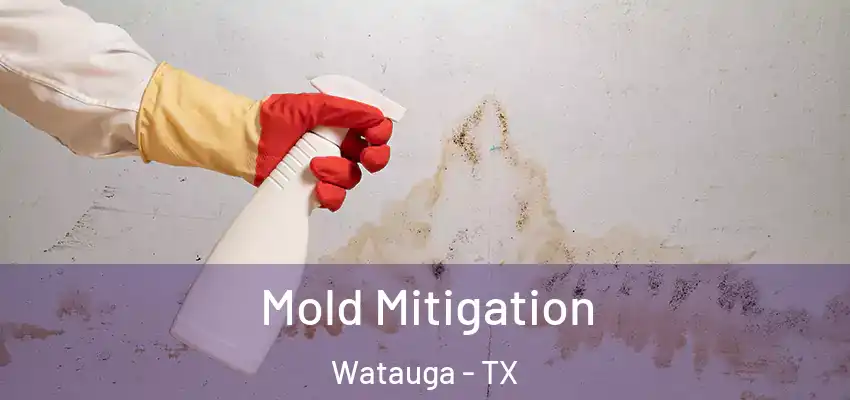 Mold Mitigation Watauga - TX