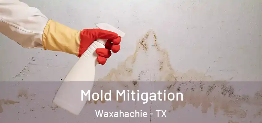 Mold Mitigation Waxahachie - TX