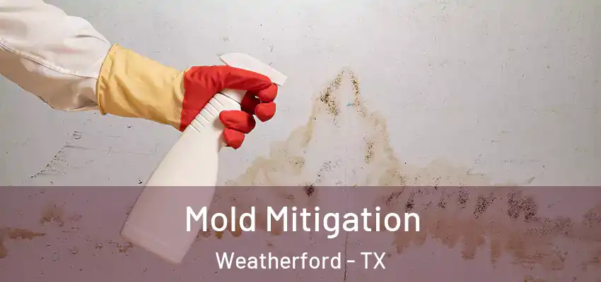 Mold Mitigation Weatherford - TX