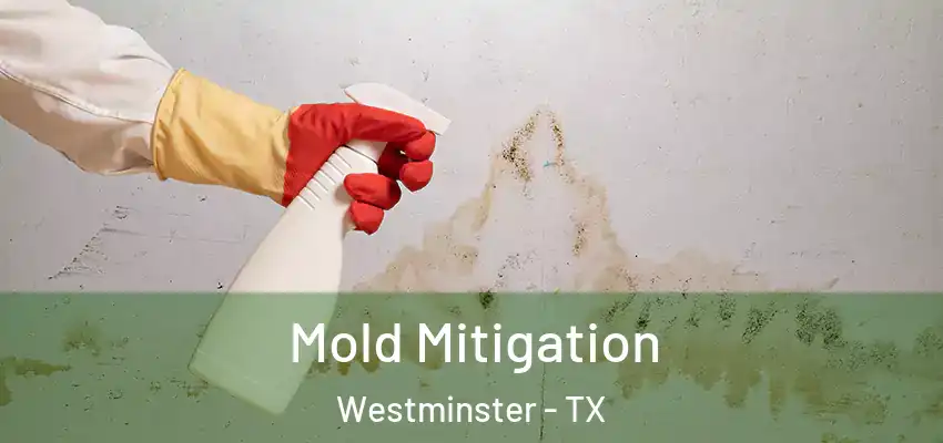 Mold Mitigation Westminster - TX