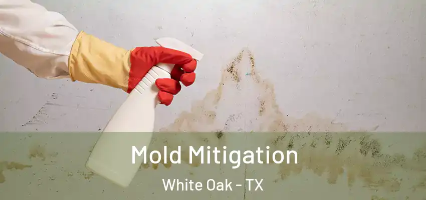 Mold Mitigation White Oak - TX