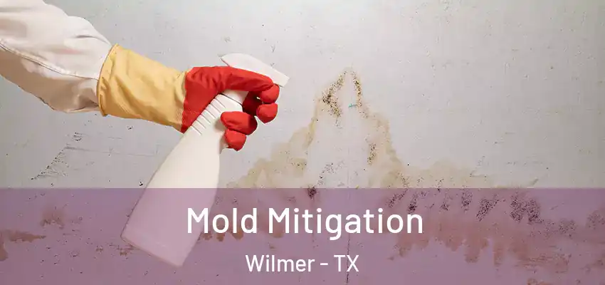 Mold Mitigation Wilmer - TX
