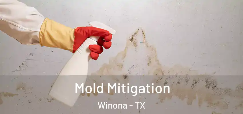 Mold Mitigation Winona - TX