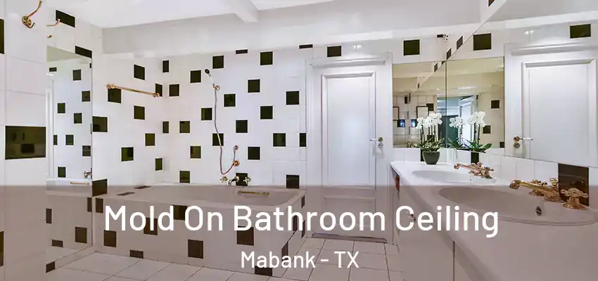Mold On Bathroom Ceiling Mabank - TX