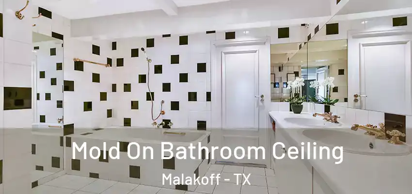 Mold On Bathroom Ceiling Malakoff - TX