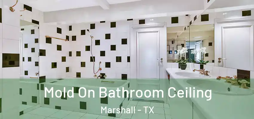  Mold On Bathroom Ceiling Marshall - TX