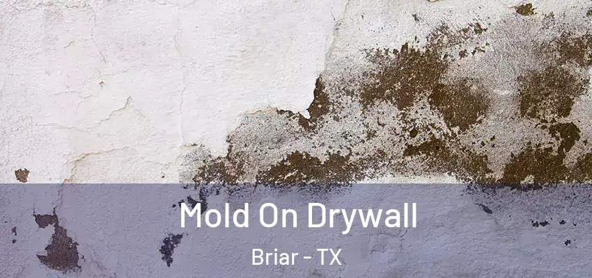  Mold On Drywall Briar - TX