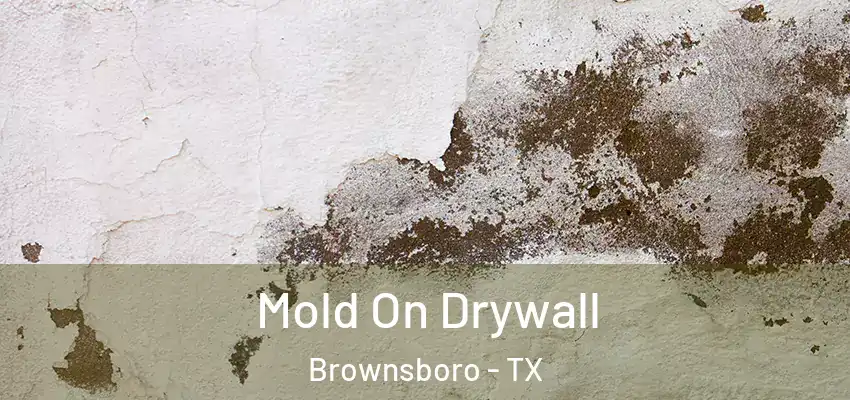  Mold On Drywall Brownsboro - TX
