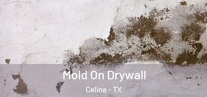 Mold On Drywall Celina - TX