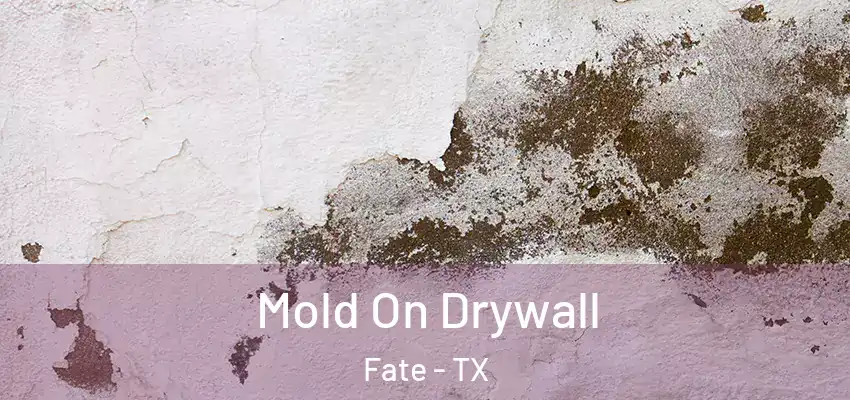 Mold On Drywall Fate - TX