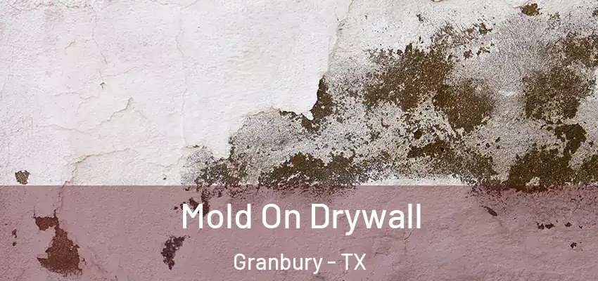 Mold On Drywall Granbury - TX