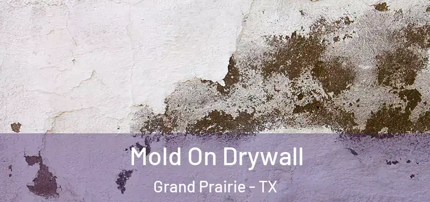  Mold On Drywall Grand Prairie - TX