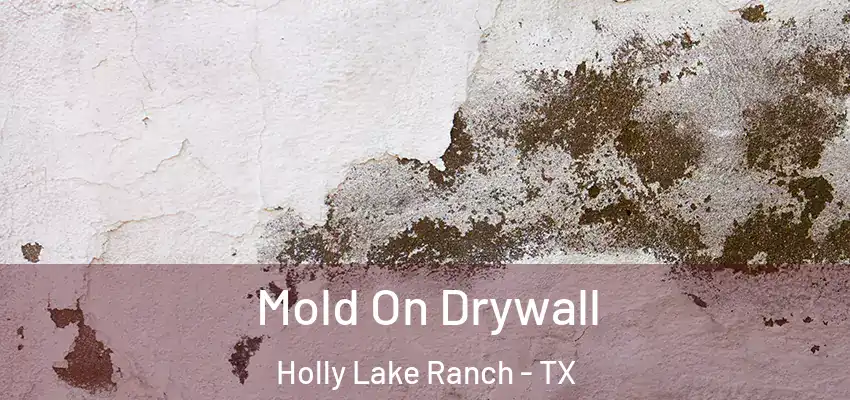 Mold On Drywall Holly Lake Ranch - TX