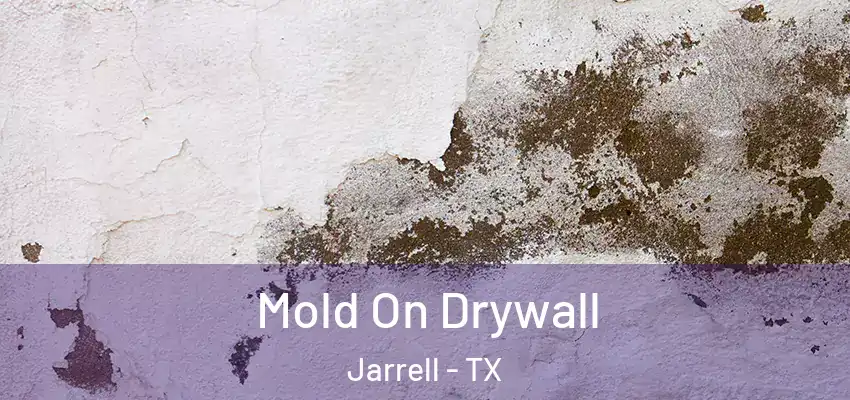  Mold On Drywall Jarrell - TX