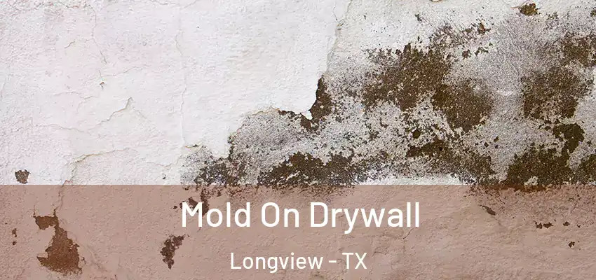  Mold On Drywall Longview - TX