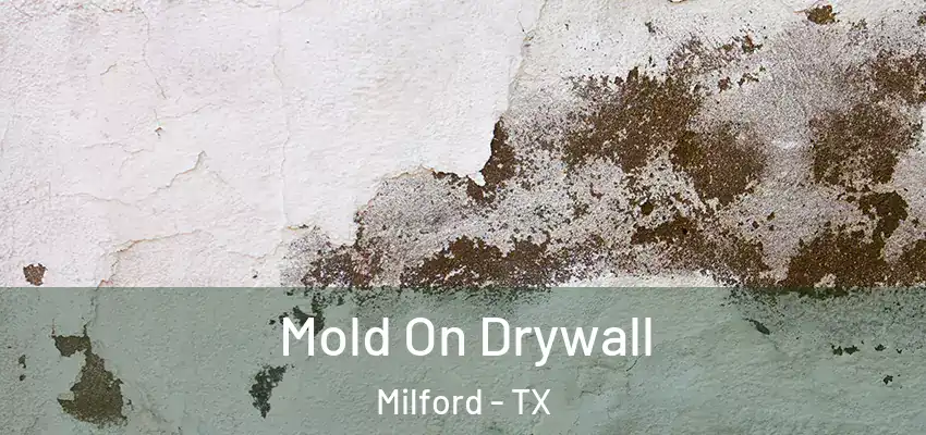  Mold On Drywall Milford - TX