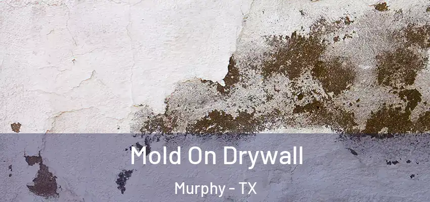 Mold On Drywall Murphy - TX