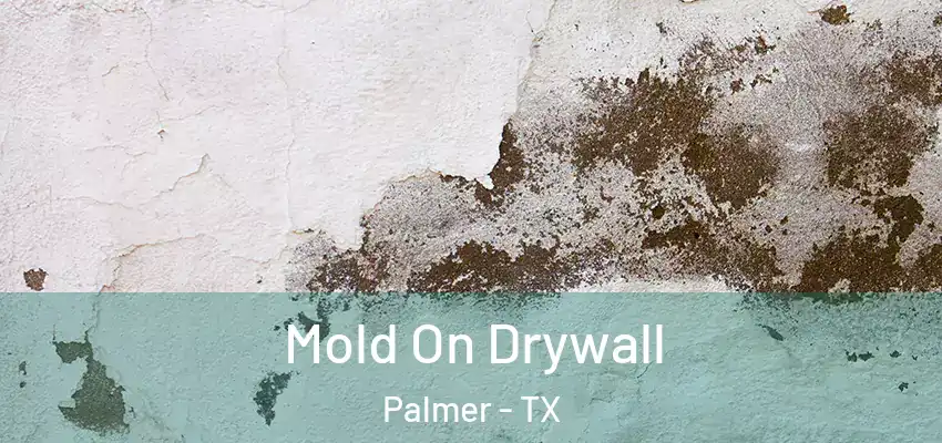  Mold On Drywall Palmer - TX