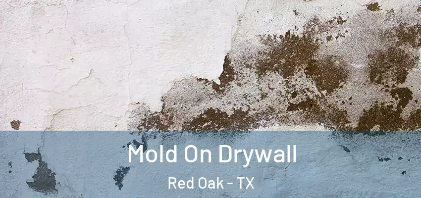 Mold On Drywall Red Oak - TX