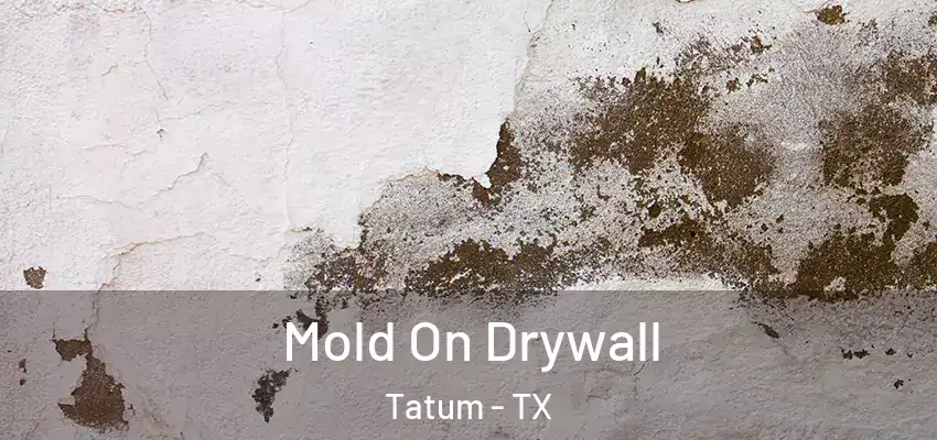 Mold On Drywall Tatum - TX