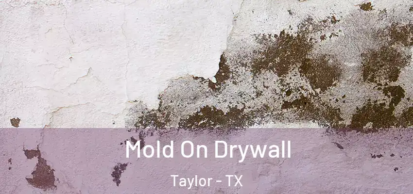  Mold On Drywall Taylor - TX