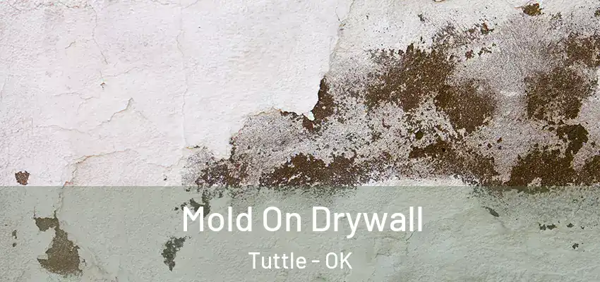 Mold On Drywall Tuttle - OK