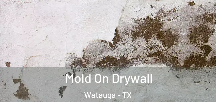 Mold On Drywall Watauga - TX