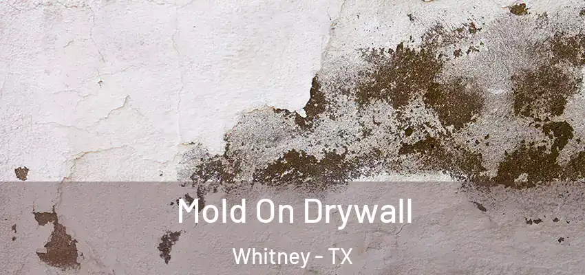 Mold On Drywall Whitney - TX