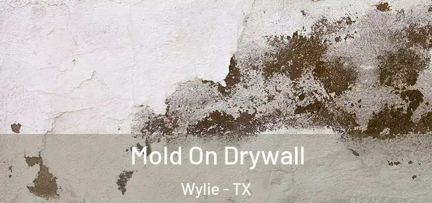  Mold On Drywall Wylie - TX